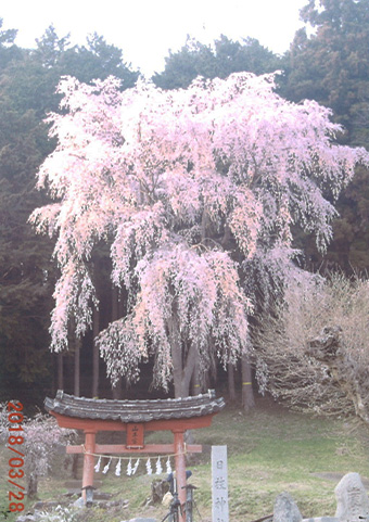 小倉城跡及び周辺地区の環境保全