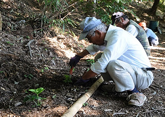 どんぐり山の環境保全、里山の素晴らしさを次世代に伝える