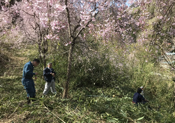 谷組花の会、日影谷地区の里山再生と景観保全