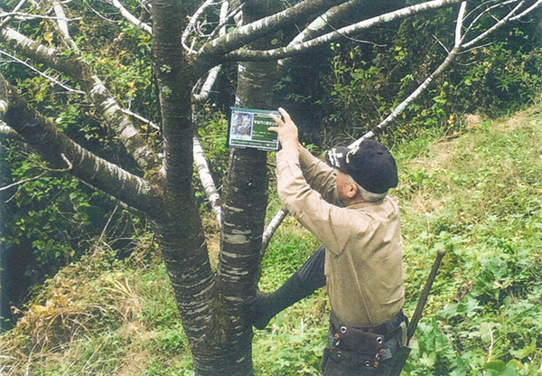 慈光寺坂、霊山坂の桜の育成・保護及び景観維持活動