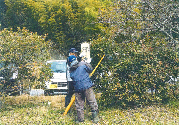 慈光寺坂、霊山坂の桜の育成・保護及び景観維持活動