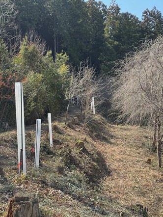 谷組花の会、日影谷地区の里山再生と景観保全